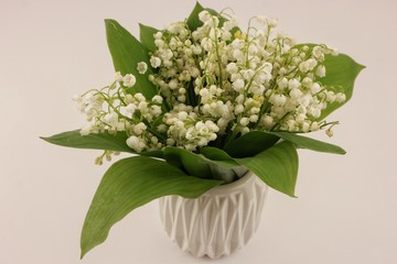Bouquet of lilies of the valley in the white vase on a white background