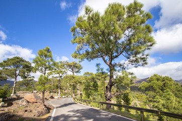 Fototapeta na wymiar Winding road in the mountains