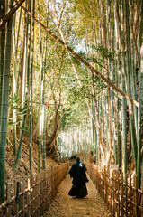 A man in Samurai costume walking in Bamboo forest, Sakura city, Chiba, Japan