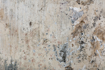 old wall texture