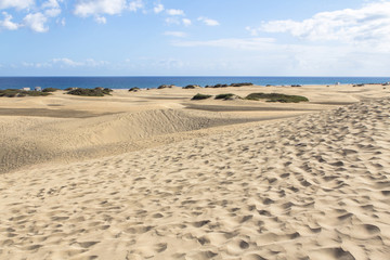Fototapeta na wymiar Maspalomas Sand Dune Desert, Grand Canaria