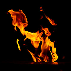 Red flame of fire on a black background