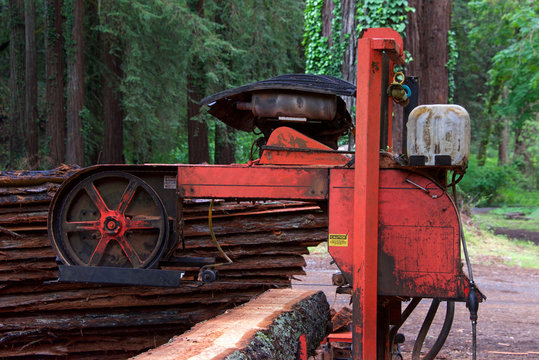 Tree Trunk Log On Saw Bed With One Side Of Bark Leveled Off. A Log Enters On One End Of A Saw Mill And Dimensional Lumber Exits On The Other End.