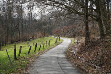 Rural path in Germany