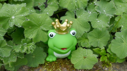 Kleiner grüner Spielzeugfrosch mit Krone. Im Garten, versteckt zwischen grünen Pflanzen, Nahaufnahme 
