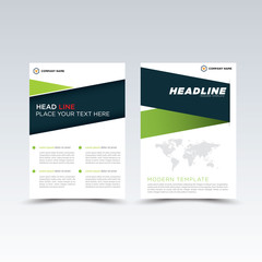 Vector Brochure Flyer design Layout template, size A4, Front page and back page, infographics.