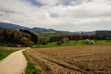 Fototapeta na wymiar Farmland in early spring in Markgräferland. The region is known for its vineyards and often called by Germans the Tuscany of Germany.