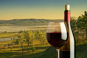 bottle and glass of red wine