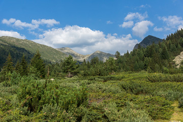 Fototapeta na wymiar Amazing Landscape of Yalovarnika peaks and Begovitsa River Valley, Pirin Mountain, Bulgaria