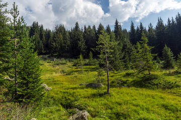 Amazing Landscape of Yalovarnika  peaks and Begovitsa River Valley, Pirin Mountain, Bulgaria