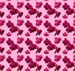 Pattern from a photo of an orchid on a pink background.