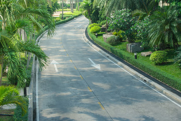 Road way among green bush and trees at countryside.