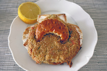 coquille st Jacques 