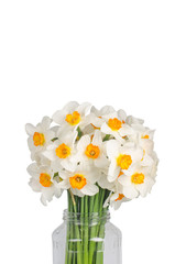 a bouquet of white daffodils