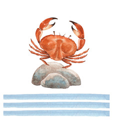 drawing watercolor sea crab on stone with blue stripe decorative edent