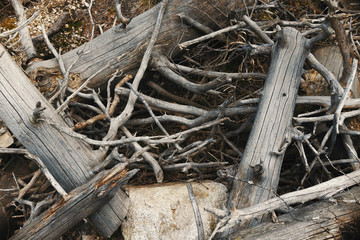Wooden texture or background