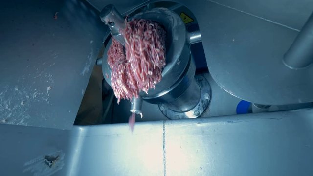 Meat in a mincing machine.