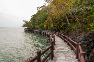 Obraz premium romantic pathway along the sea