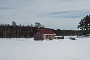 cottage in the forest