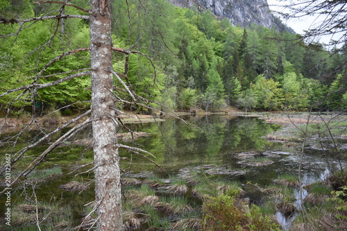 "Osttirol, Lienz, Lienzer Talboden, Tristacher See, Alter See