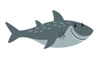 Shark sea animal cartoon icon