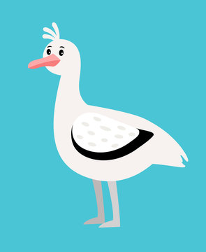 Seagull white bird icon