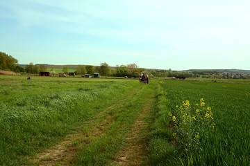 Fototapeta na wymiar Felder und Landwirtschaft, Dorfidylle