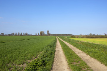 farm track and wheat fields