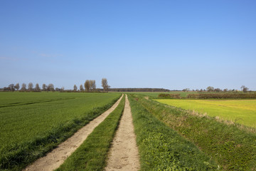 Fototapeta na wymiar Yorkshire farm track