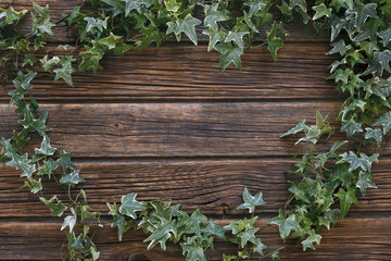 Close-up of green ivy twigs on a vintage wooden background. Top view, space for text