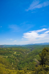 Fototapeta na wymiar Panoramablick von den Alpen Frankreichs unter blauem Himmel, Toskana, mit Kiefer im Vordergrund