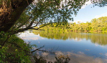 Idyllisches Rheinufer bei Speyer: Oase zum Entspannen :)