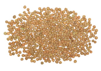 lentils isolated on white background, top view