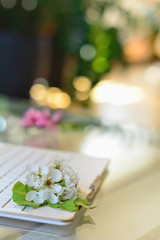 cherry tree blossoms on white keyboard. Spring in office