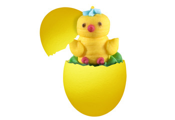 The little chicken has hatched from egg, on a white background.