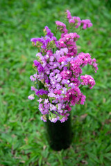 Obraz premium Fuchsia dry flower