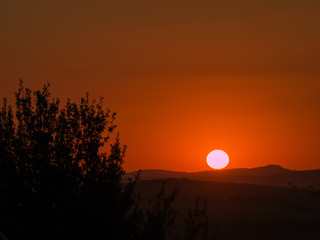 Fototapeta premium Sunset with Tree Foreground