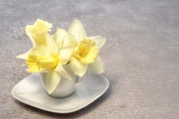 three yellow narcissus bouquet in a coffee cup instead of vase with copy space for your greetings text