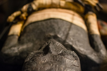 Egyptian mummy