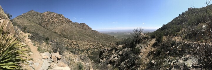 Desert Mountain Trail