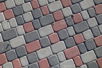 Pavement texture