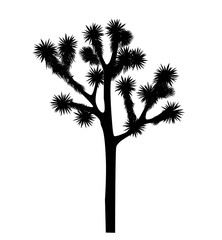 Joshua tree vector isolated on white background