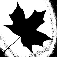 Silhouette of a maple leaf.