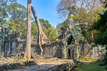 Preh Khan temple with silk cotton tree roots in Siem Reap, Cambodia