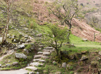Mystical steps up the mountain side