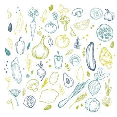 Set of hand drawn vegetable. Sketch of tomato, cucumber, carrot, broccoli, potato, eggplant, mushrooms, onion, beet, radish, pepper.