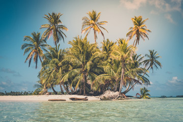 tropical island - palm tree, beach and ocean