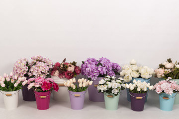 Peonías, tulipanes, hortensias y otras flores en maceteros de diferentes colores.