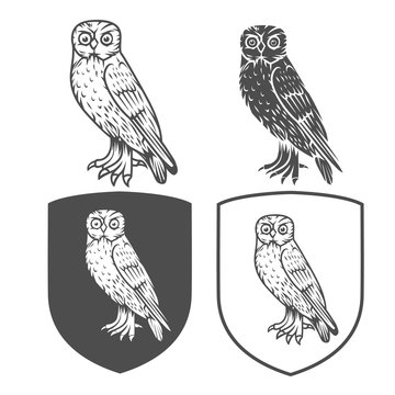 4306378 Vector heraldic shields with owl