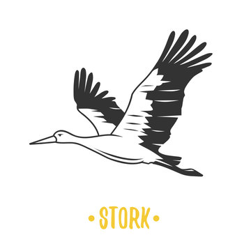 Stork. Black and white object.